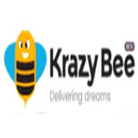 (分期乐) 投过项目(KrazyBee)