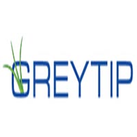 (恩颐投资) 投过项目(Greytip Software)
