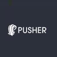(SaaS Capital) 投过项目(Pusher)