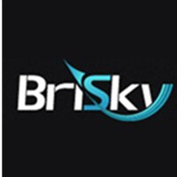 brisky博瑞空间 LOGO