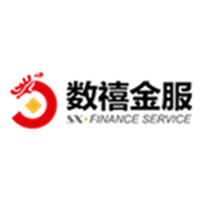 数禧金服