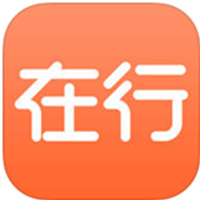 在行