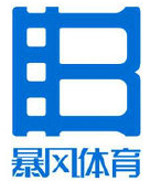 (平禄电子) 投过项目(暴风体育)