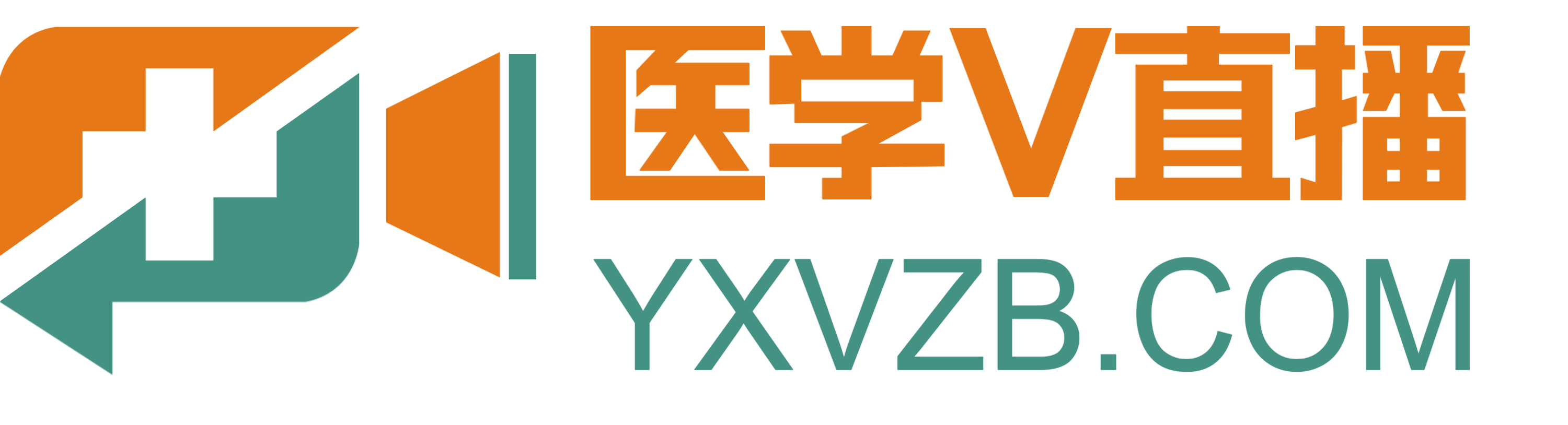 北京医洋科技有限公司_LOGO