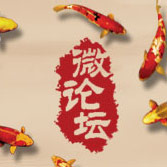 808微论坛 LOGO