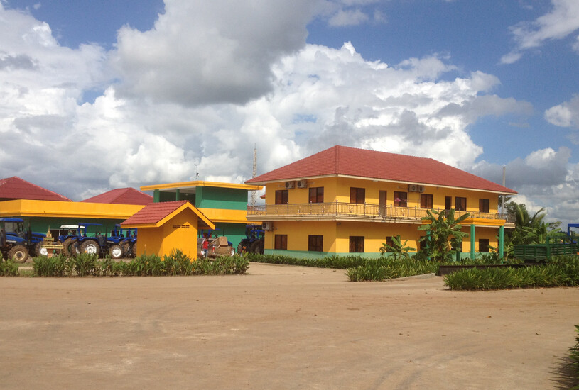 一万公顷优质木薯种植农场整体启动销售