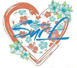 千岛湖天龙岛影视基地建设项目 LOGO