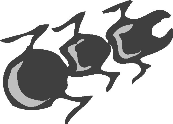 捎客速运 LOGO