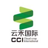 青青子衿