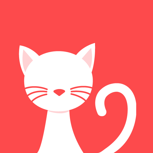 猫说小新