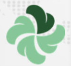 “赛扁鹊”智慧医疗项目 LOGO