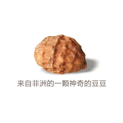 油莎豆全产业链项目 LOGO