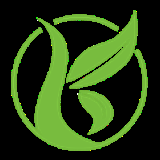 开悟体检 LOGO
