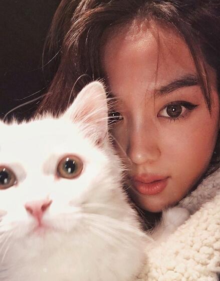 戴戴