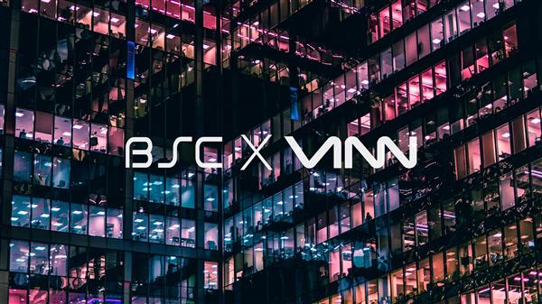 VINN一次性电子雾化烟LOGO