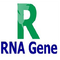 大分子RNA制药