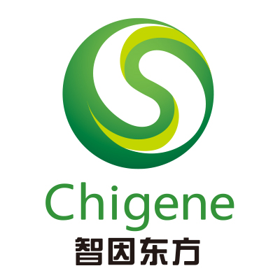 遗传病基因大数据诊断类NGS服务 LOGO