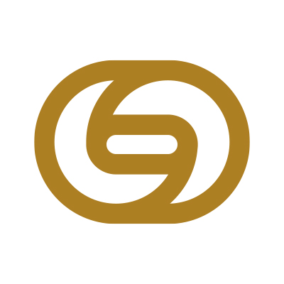 输电线路智能缺陷检测 LOGO
