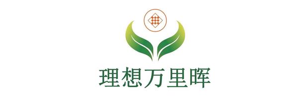 理想万里晖_LOGO