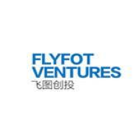 飞图创投
