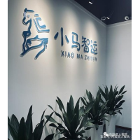 小马智运