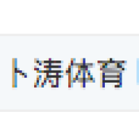 卜涛体育