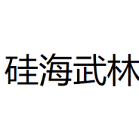成都硅海