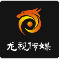 龙视传媒