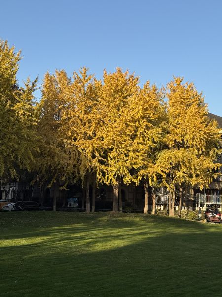 2026年房地产的三大机遇