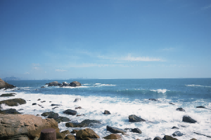 青岛首支AI-OPC科创基金成立