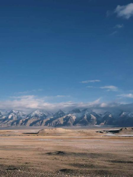 永辉春节档成绩单：同店双增，熟食烘焙增长超220%