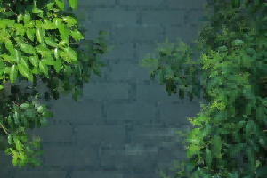 文科生72小时杀入GitHub 全球榜